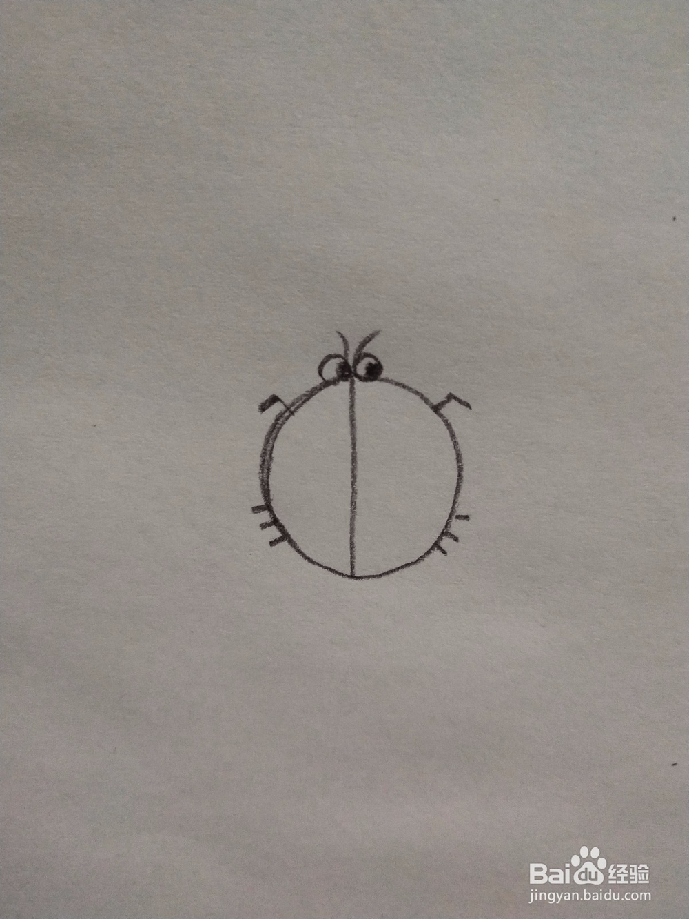 瓢虫简笔画怎么画