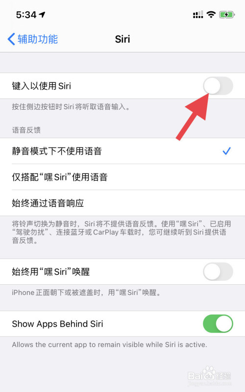 怎么关闭iphone xr键入以使用siri功能