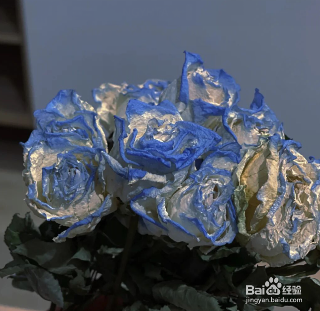 送女朋友玫瑰花什么颜色#校园分享#