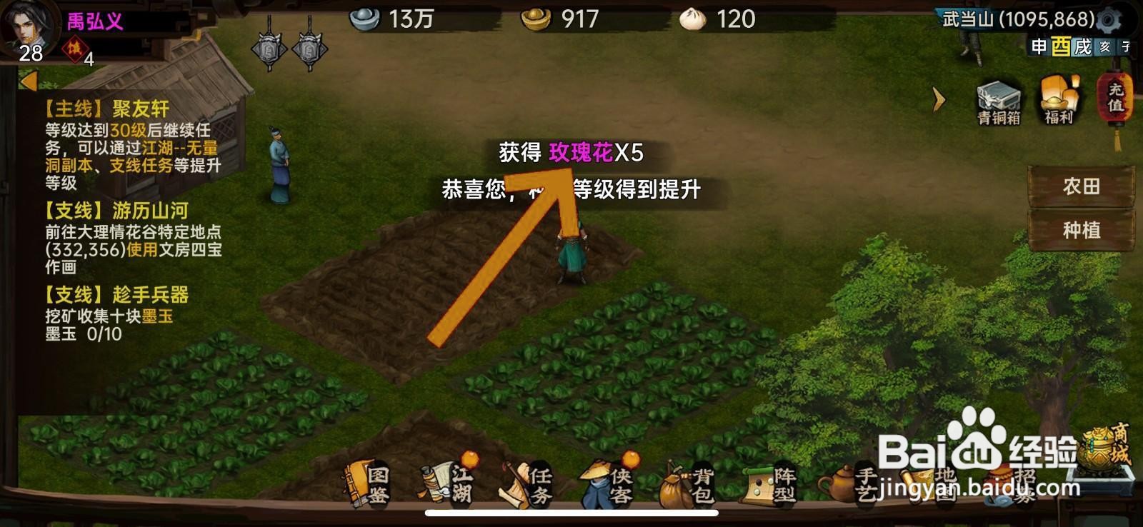 武林侠影玫瑰花怎么获得