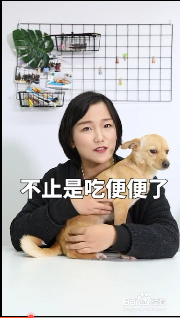 造成狗狗吃便便的原因