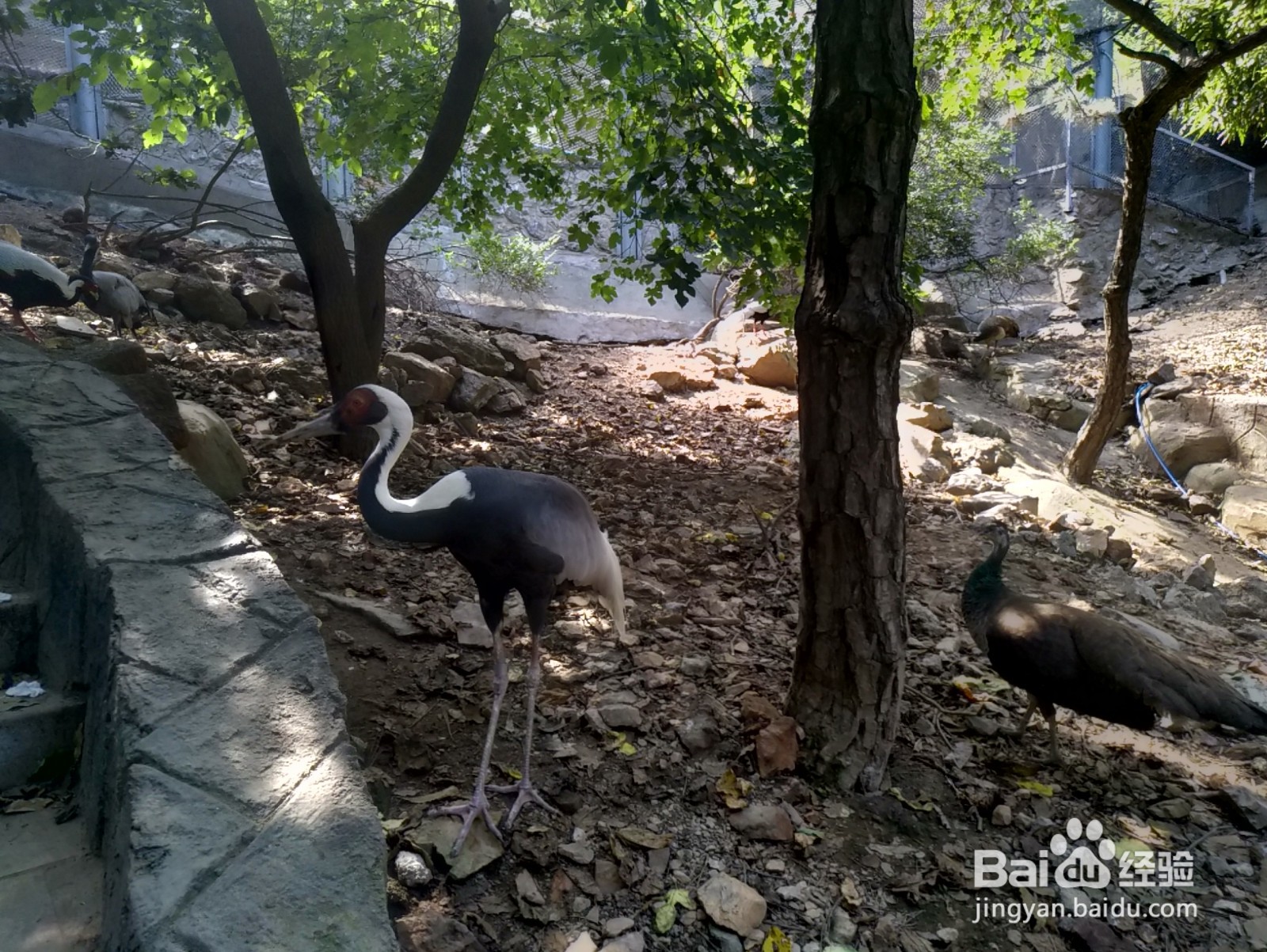 大连老虎滩一日游攻略