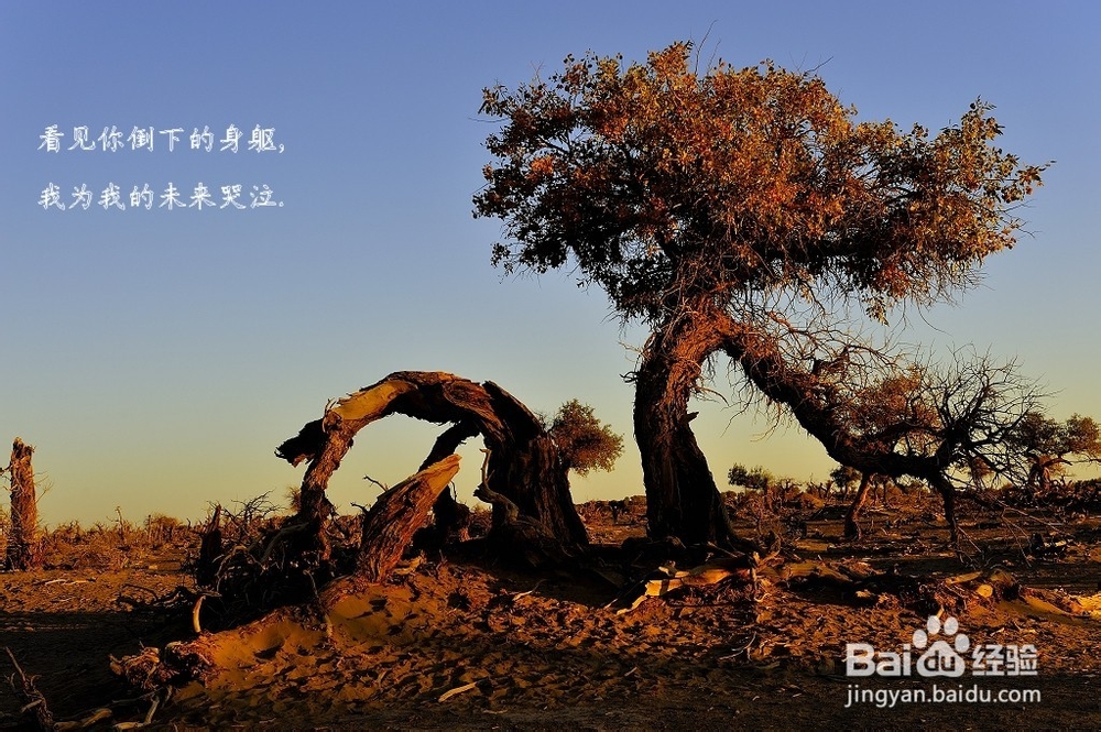 一天一个字，七天让自己蜕变