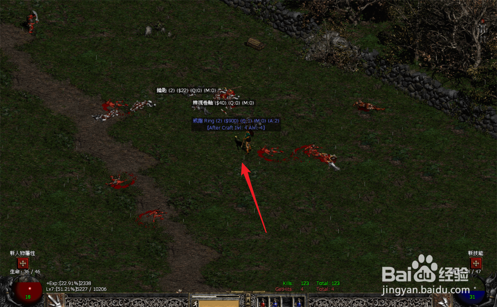 暗黑2怎么呈现地面所有装备?