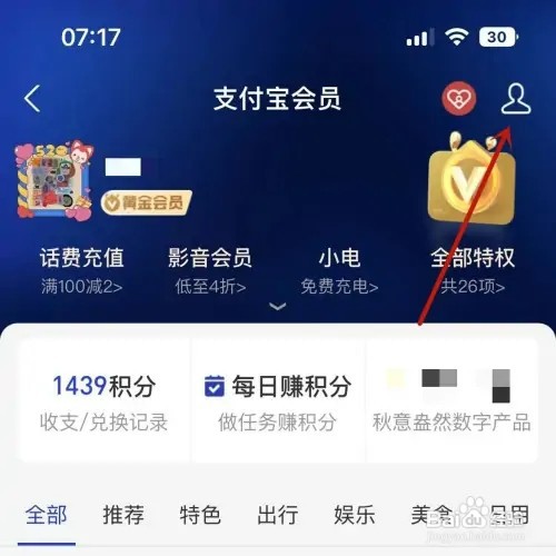 如何查看支付宝中我的IP藏品