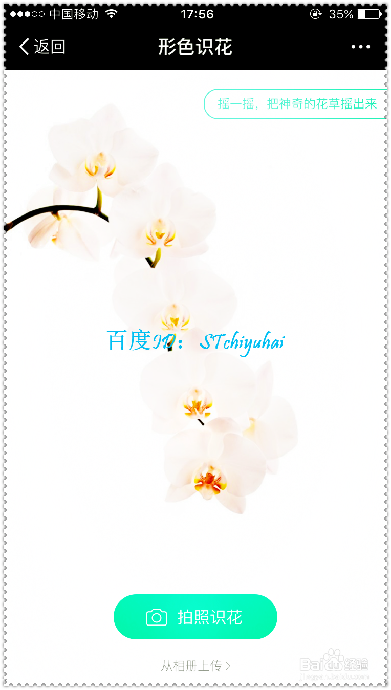 支付宝如何加载小程序
