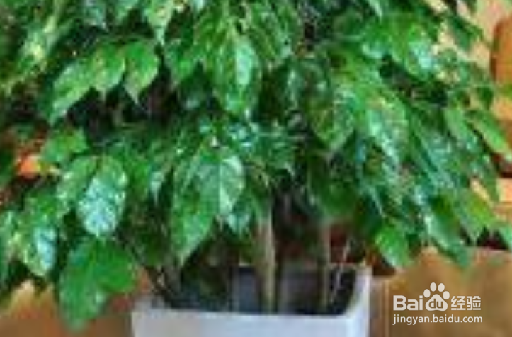 怎样才能避免快速衰老