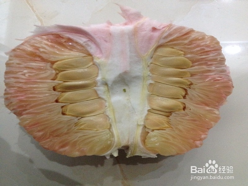 如何制作景观柚盆栽