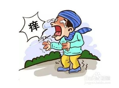 百度经验
