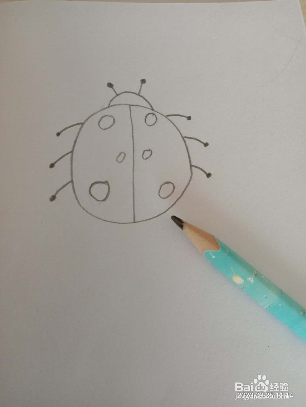 简笔画 如何画七星瓢虫