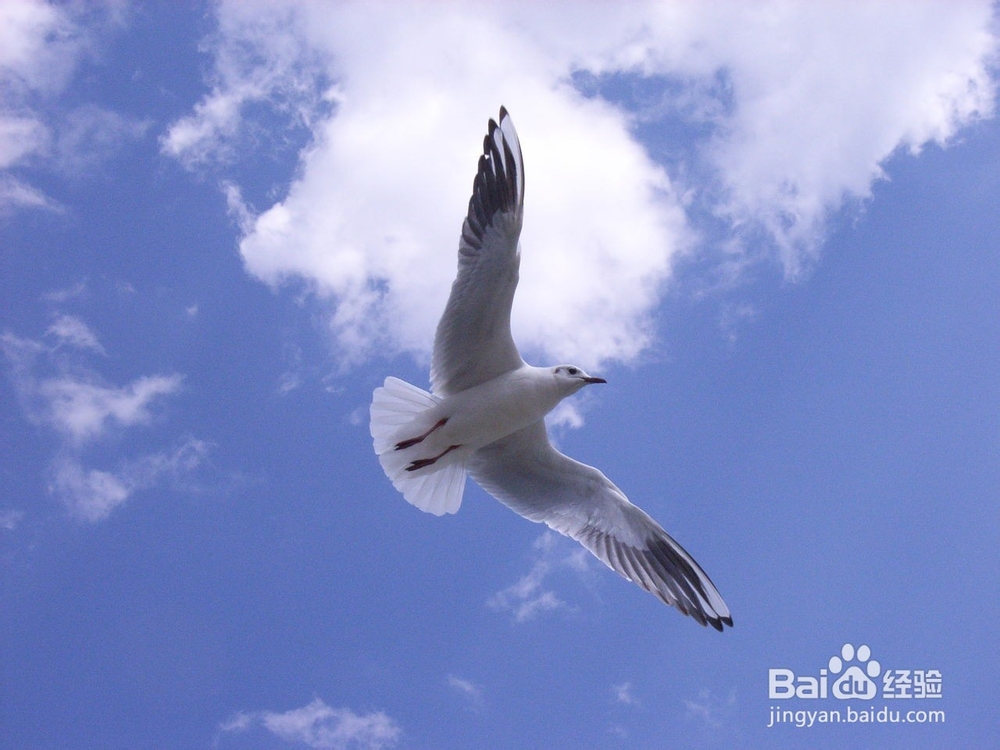 如何面对失败的痛