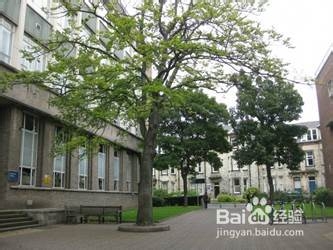 学院街攻略：[172]英国纽卡斯尔大学申请攻略