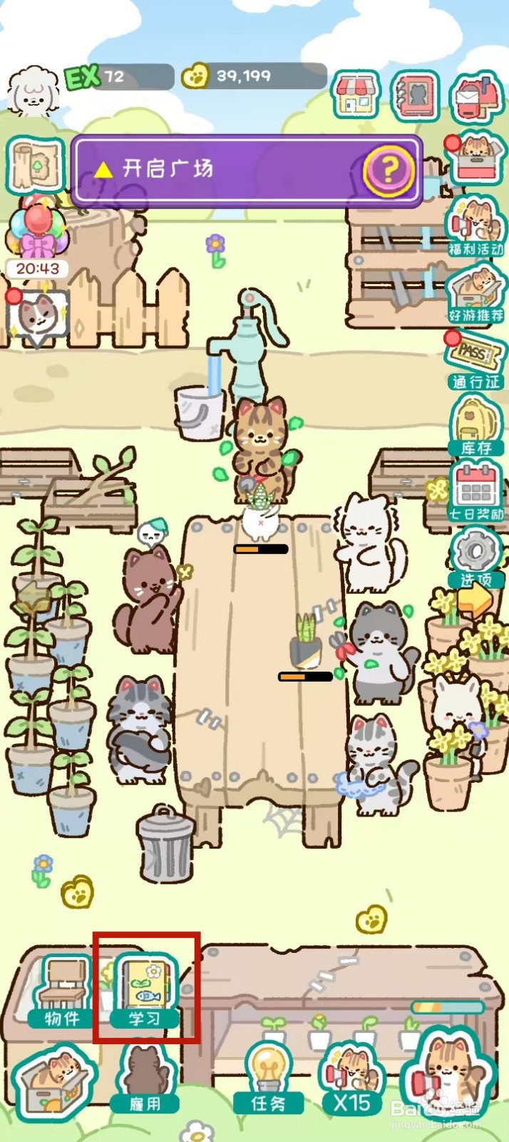 动物家园怎样查看伞形树的单笔售卖收入