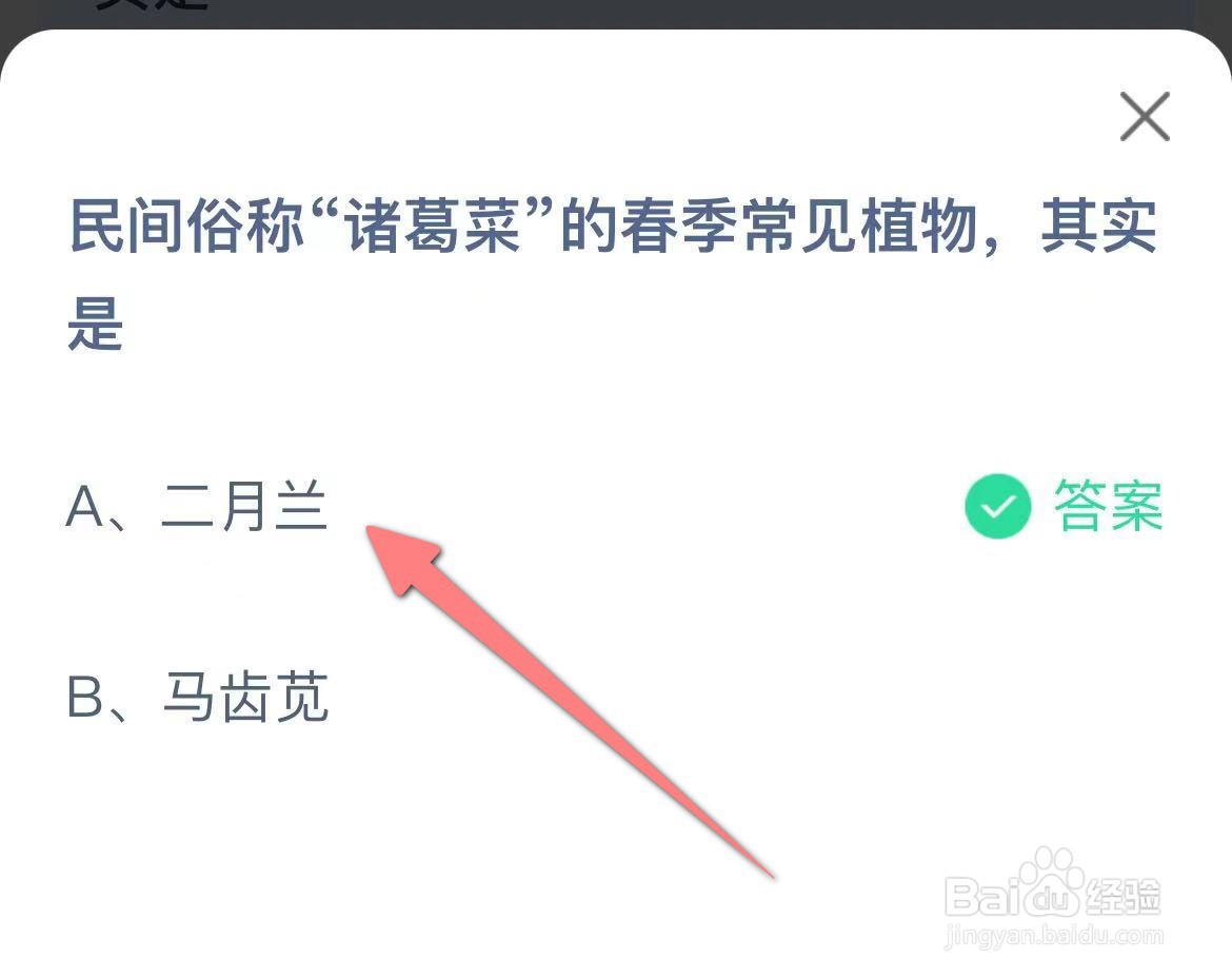蚂蚁庄园民间俗称“诸葛菜”的春季常见植物是