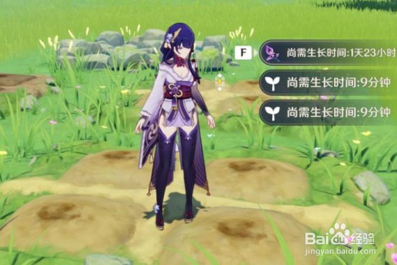 原神梦里生花活动攻略
