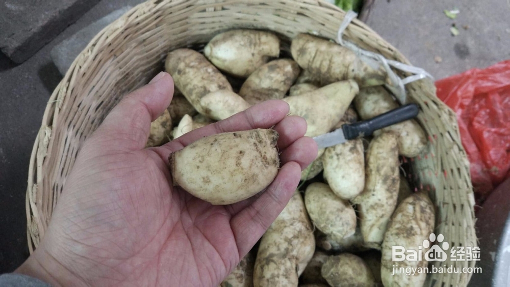 生萝卜仔怎么办