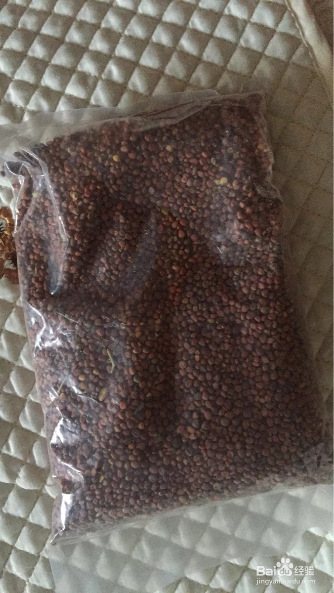 莱菔子的服用方法