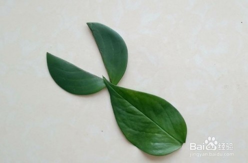 手工叶子粘贴画