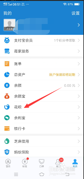 怎样查看自己的花呗额度