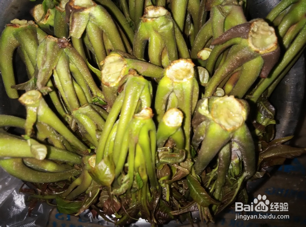 香椿炒鸡蛋的做法