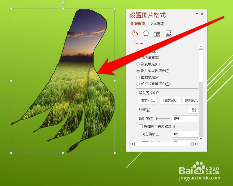 ppt形状怎么填充任意图形