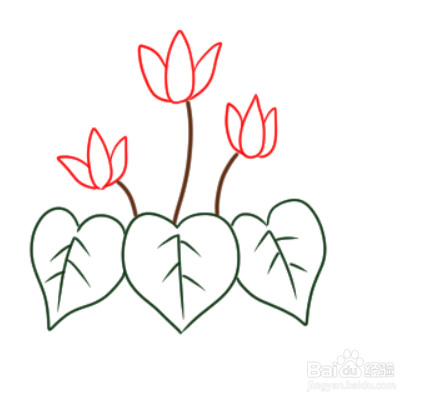 如何简单地画仙客来