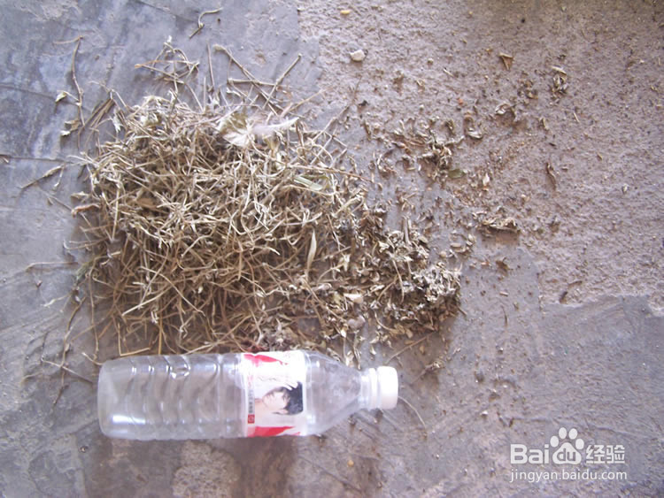 手工制作蕲艾绒和蕲艾条全过程(详细教程)