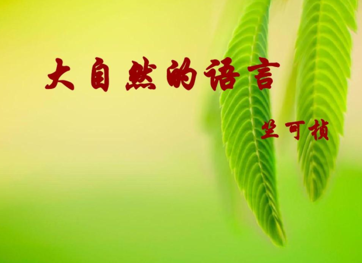 大自然的语言第十段用了什么说明方法