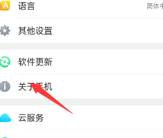 oppo手机开发者选项怎么找