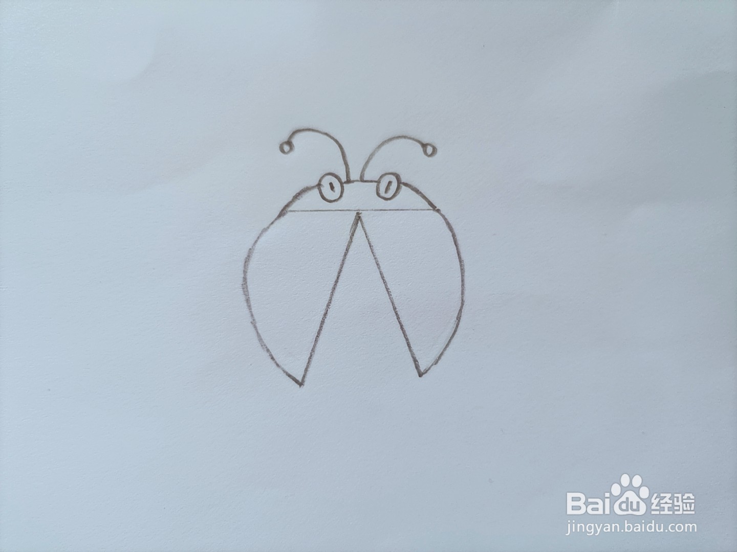 儿童简笔画 怎样画一只瓢虫