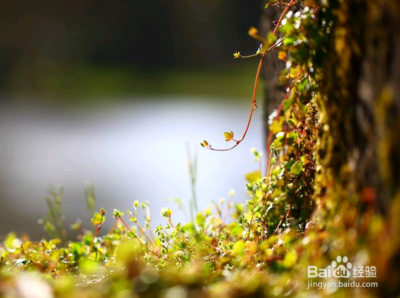 哈佛大学：一个人慢慢成为一个废柴的九大根源！
