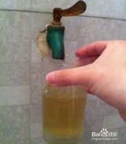 鱼缸有腥味怎么办