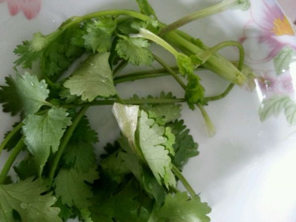 剁椒凉拌豆芽菜