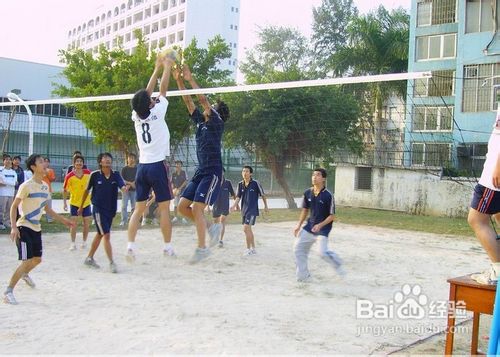 排球击球后哪些行为是违规？