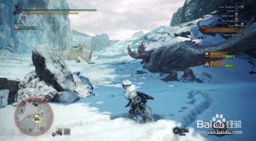 怪物猎人rise冻结袋怎么获得 百度经验