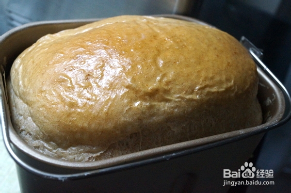 用面包机做面包
