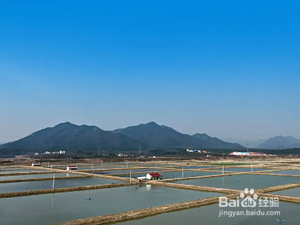 鱼塘水变红的原因和处理方法