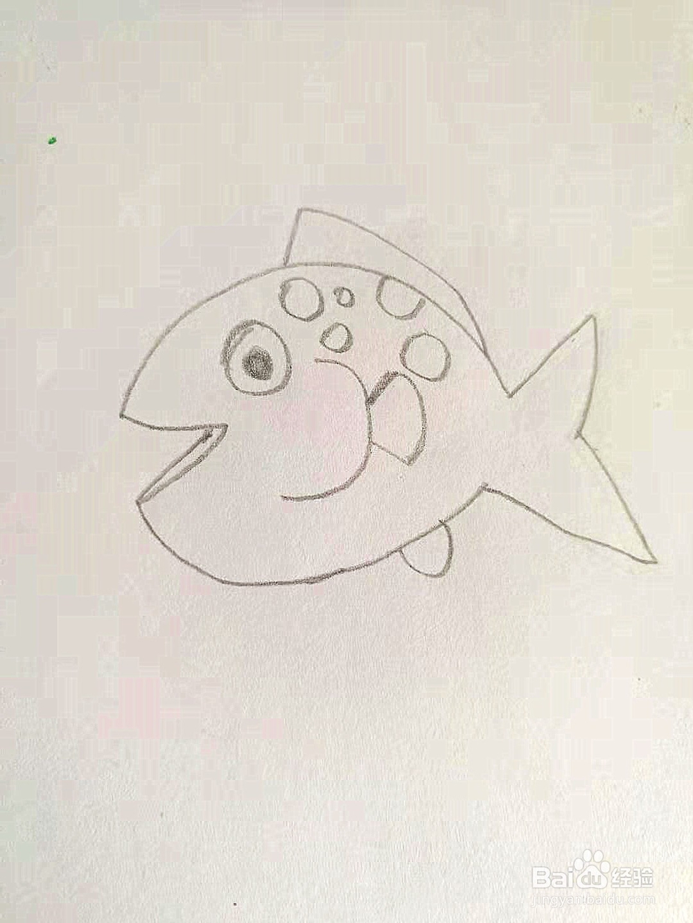 幼儿园简笔画教程：小鱼