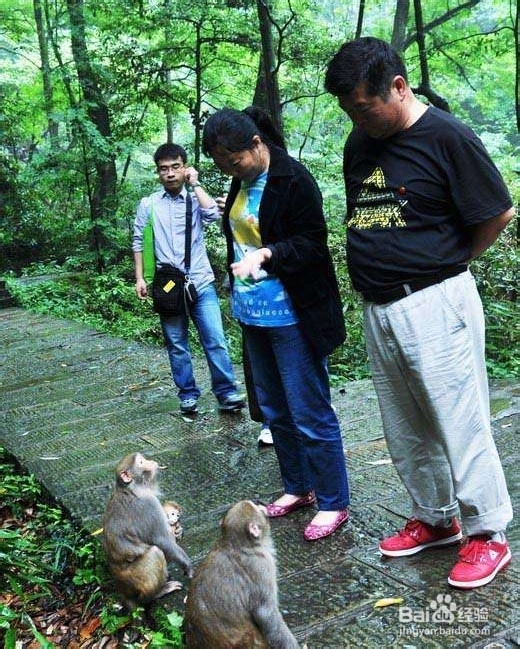 邢台到张家界自驾游