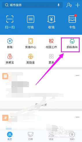 蚂蚁森林如何获得明星公益林证书