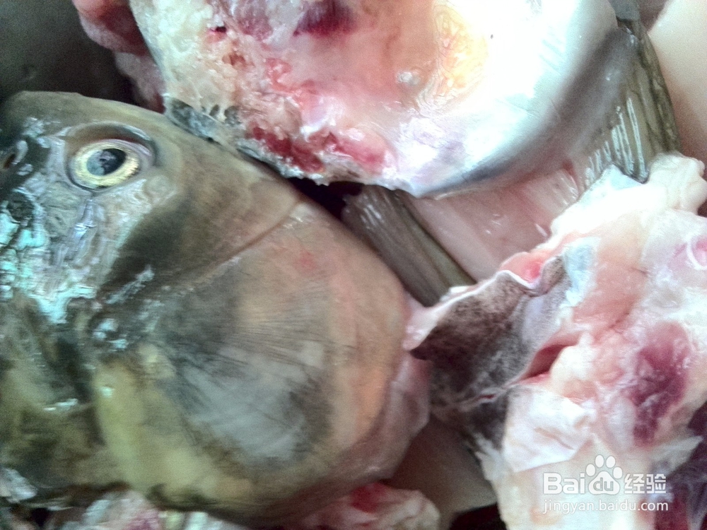 姜丝豆腐草鱼汤