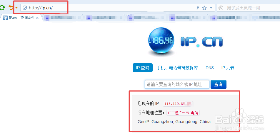 如何查看自己使用网络的外网IP地址？