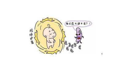 冬虫夏草的食用方法 首选泡茶喝