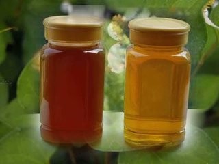 成熟蜜、非成熟蜜、浓缩蜜、巢蜜