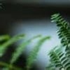 家有主妇妙招无穷55