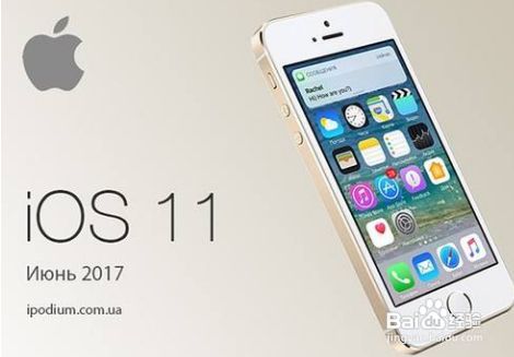 ipad用一会儿就闪退