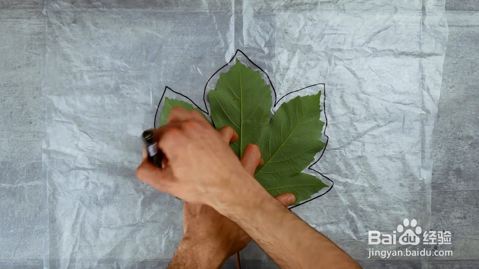 如何用树叶制作一个石头碗