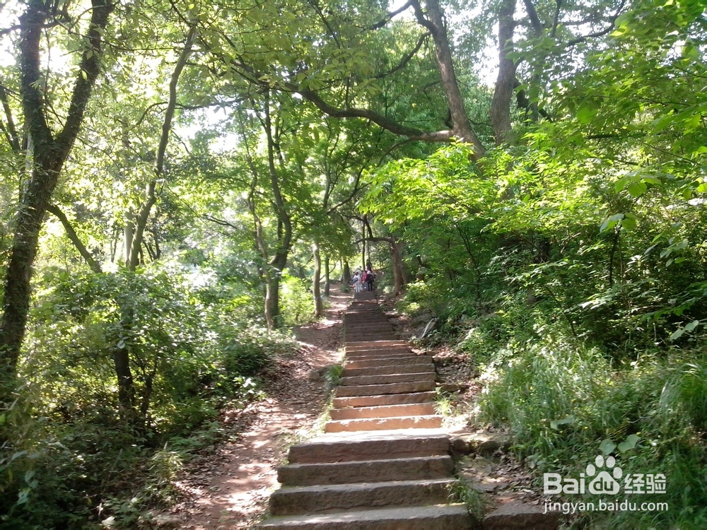 假期旅游之浙江超山风景区