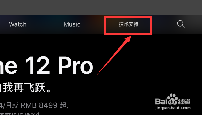 苹果11掉水里了应该如何处理