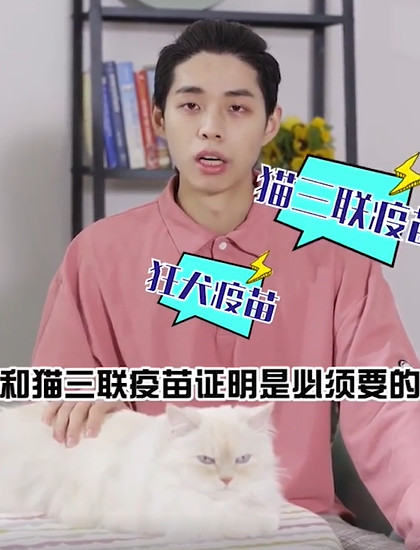 如何正确空运一只猫